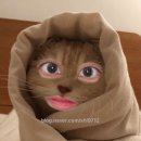 다오르뷰티