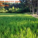 신리태양광발전소 이미지