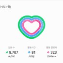 장미의거리5 이미지