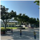 신정호국민관광지 대여소 | 신정호국민관광지｜아산 가볼만한곳 가족·연인 모두 즐기는 호수공원 여행