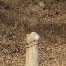 보성오문 삼효각 | 현도면 달계리 공덕비