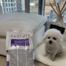 세이메드 이미지