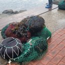 어촌일기호미곶 이미지