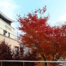 화천박물관 이미지