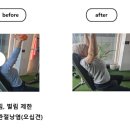 단하나피티 이미지