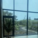 오알카페 이미지