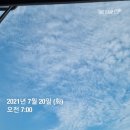 [꿈디꿈디] week1_꿈트랙 1주차 후기