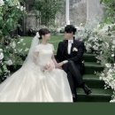 로젤리스냅 이미지