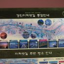 아라마루 이미지