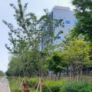 수원-1166 이미지