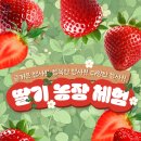 동영농장 이미지