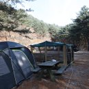 수동자연마을