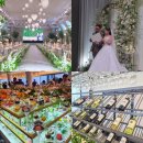 마성초등학교 | ​[용인 웨딩홀 추천] 구성역 솔스퀘어 하객 후기 : 화려한 홀과 역대급 뷔페, 지연 사고 기록