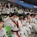 세종태권도 | 대구동구신천동 즐거운 세종태권도 우리귀염둥이 즐겁게 수업받은후기
