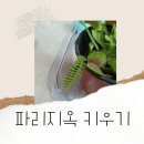 미라클가드닝핸드크래프트