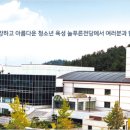 늘푸른전당 체육관 이미지