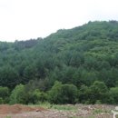 제2야영장 이미지