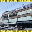 삼산현대약국 이미지