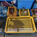 수변로상점 | 호객행위 없이 친절했던 광안리 해수욕장 맛집 : 여수상회