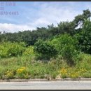 송동면 부석마을 이미지