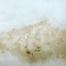 화정벌의원 이미지