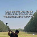 (주)강남 골프클럽