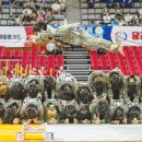 제일 합기도 이미지