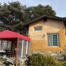 소나무흙집민박 이미지