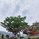 라성관광농원 이미지