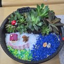 음악이 있는 힐링원예 이미지