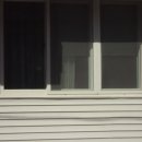 사파동296 이미지