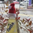 세븐일레븐(김해어방본점) | 김해 어방동 맛집 솔방구리삼겹살 방문후기