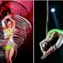 동춘서커스 공연장 이미지