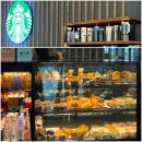 나인호텔(Nine9 Hotel) | 치앙마이 여행 🇹🇭 | 더파크나인호텔 • 부리라타나호텔 그리고 맛집투어🧚🏻‍♀️