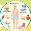 에스엘짐