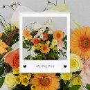 카페봄봄김천부곡 | 💚 제철 행복을 찾아서: ( 서울 나들이)