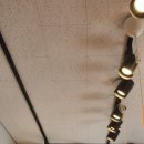 펫바스로 동탄 이미지