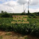 주천공인중개사사무소 이미지