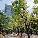 色이 있는 風景 이미지