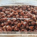 청춘오뎅 티스토리