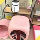 츄펫살롱 이미지