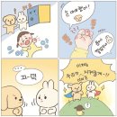 후건-파코파코 네이버블로그