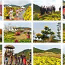 국화전시회 버스킹 문화공연 이미지