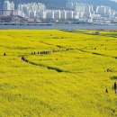 지하철강서구청역 이미지