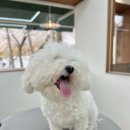 트리밍153 이미지