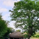 니니브 | [홍성 카페] 오랜만의 맑은 날에 드라이브, 카페 '니니브' 후기