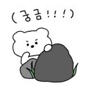 이화드림