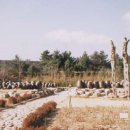 안성맞춤옹기 이미지