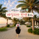 완성리싸이클 | 유니클로 세실리아 반센 실착 후기｜휴양지룩으로 입어본 추천템 솔직 리뷰