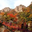 주공정마트